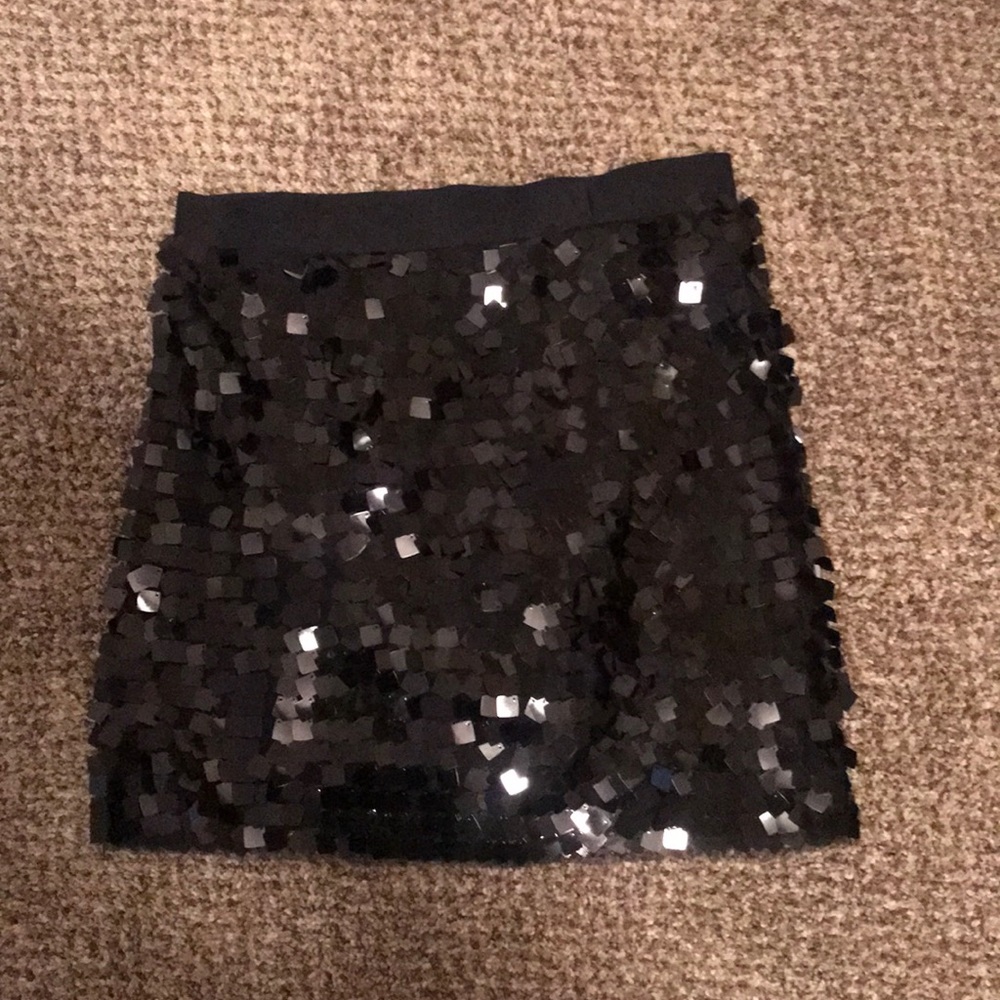 Sequined Skirt